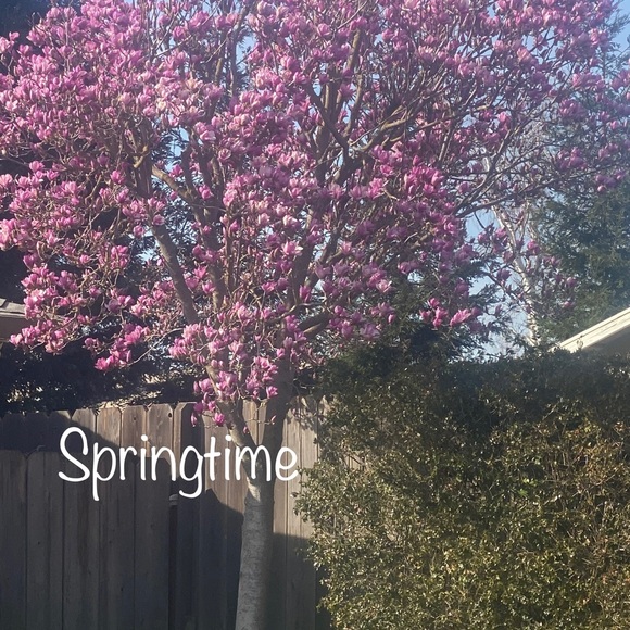 COPY - Meet your Posher, Debra - Picture 6 of 11